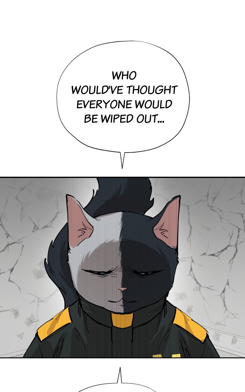 73 page 81